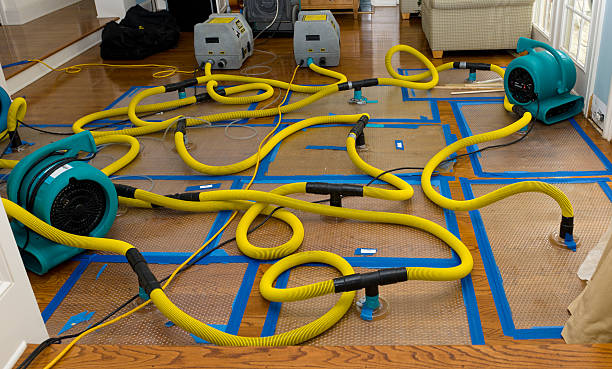 Professional Sewage Cleanup technician working in Finlayson, MN